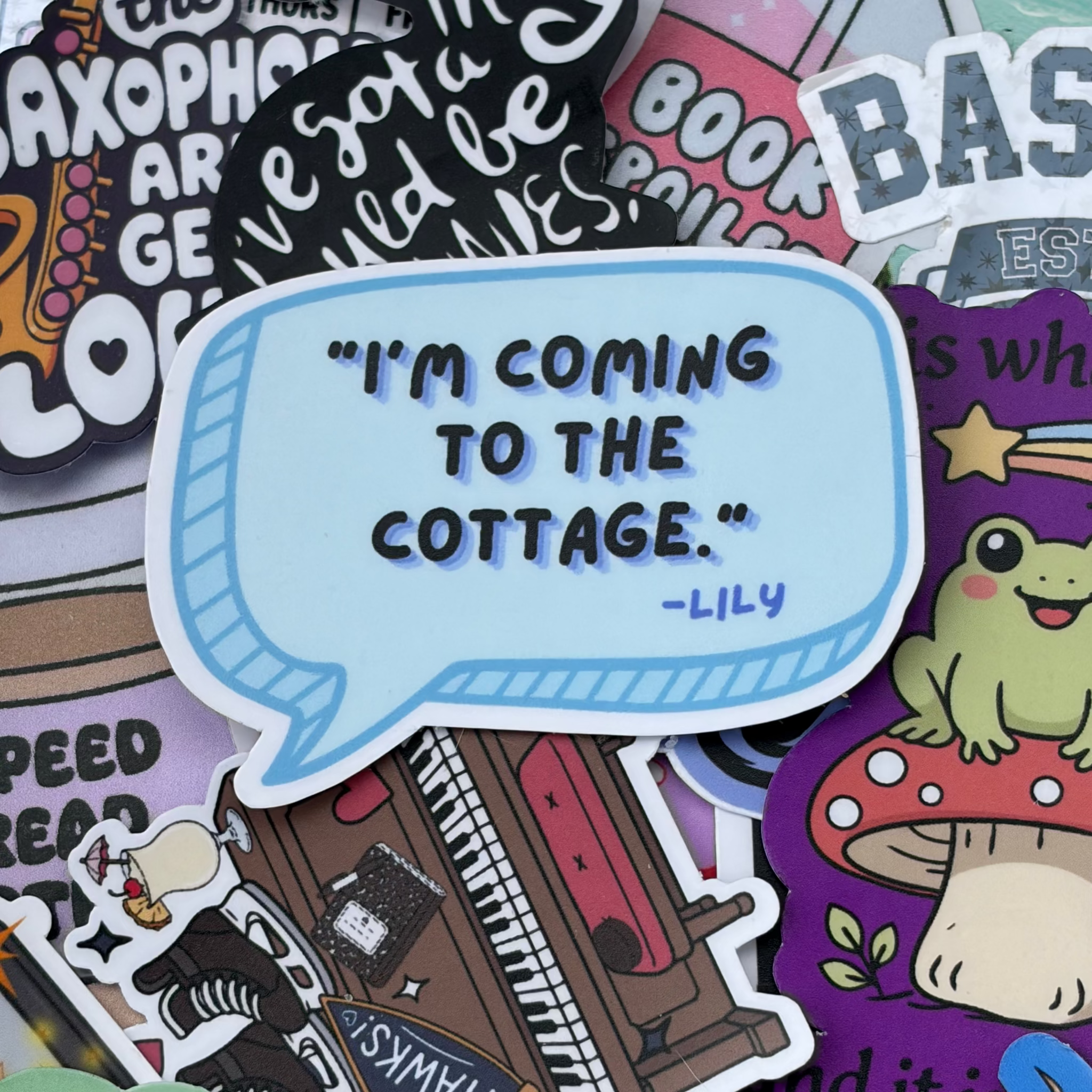 I'm coming to the cottage text bubble heated rivalry hockey romance pop culture trending bookish