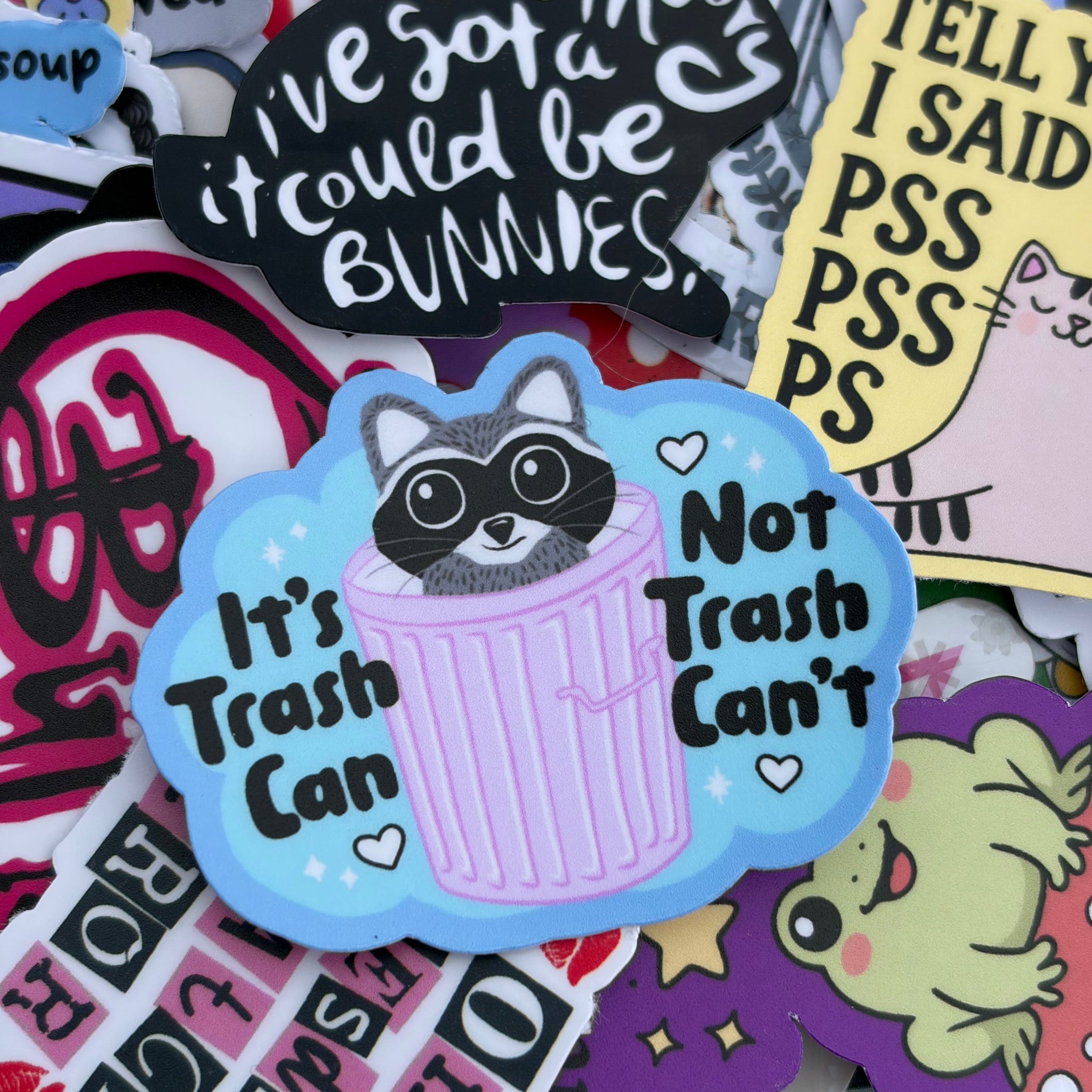 It’s Trash Can. Not Trash Can’t. Single Sticker. Feral cute, dark humour, funny racoon