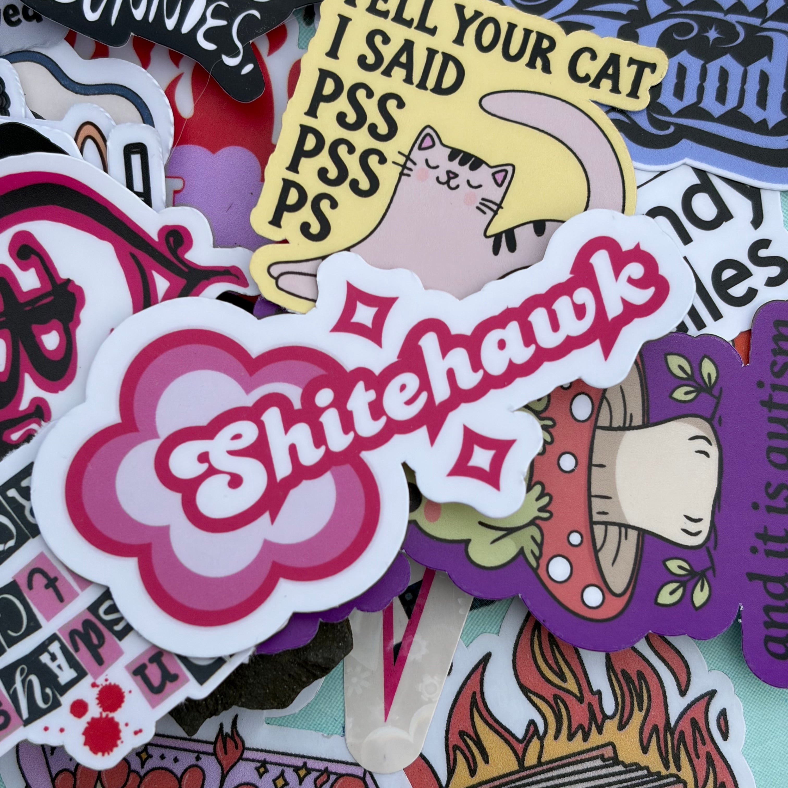Shitehawk, Single Sticker. Pink and white, graphic, star, Irish slang, humour.
