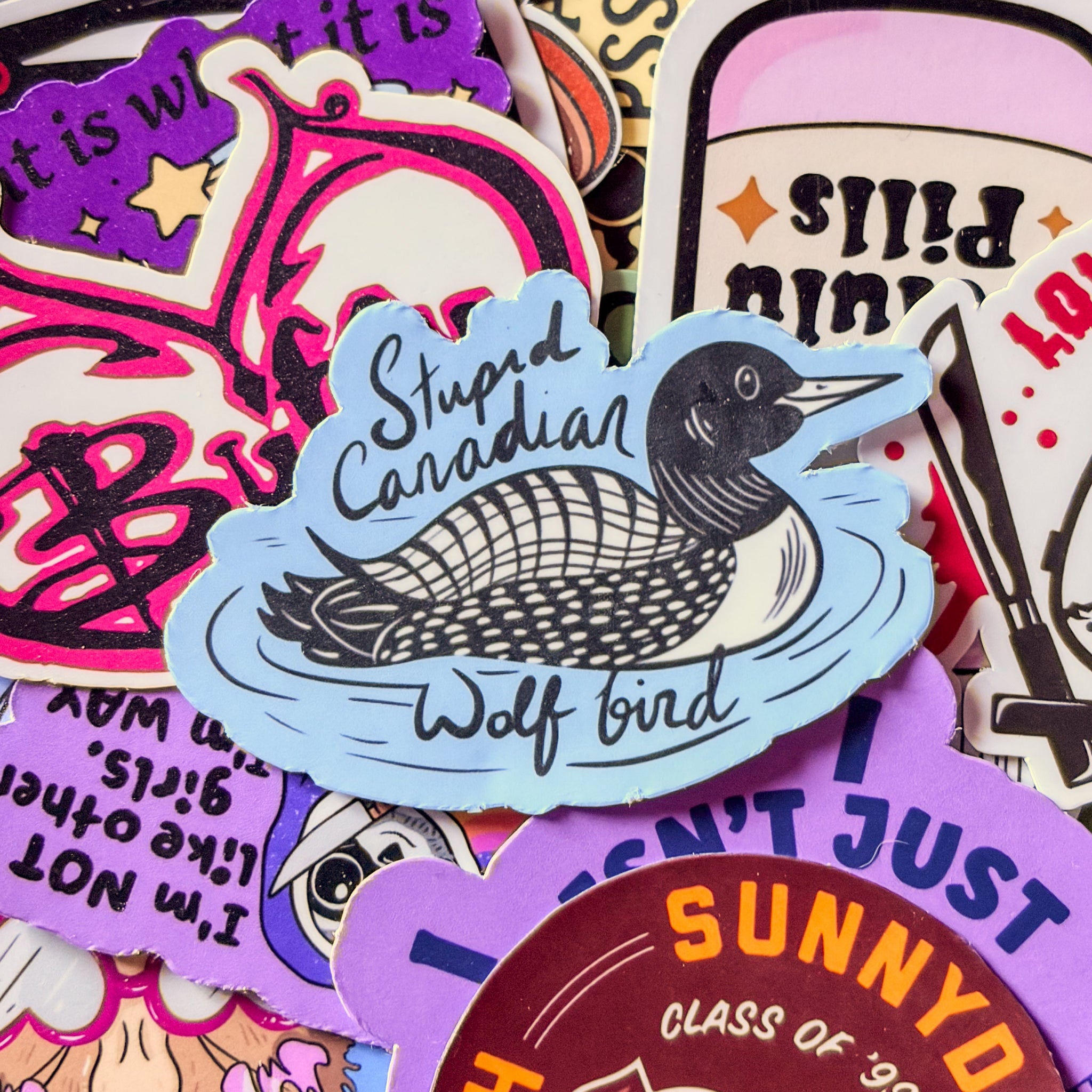 Stupid Canadian Wolfbird, Heated Rivalry, Single Sticker, water, duck, heated rivalry, funny bookish blue