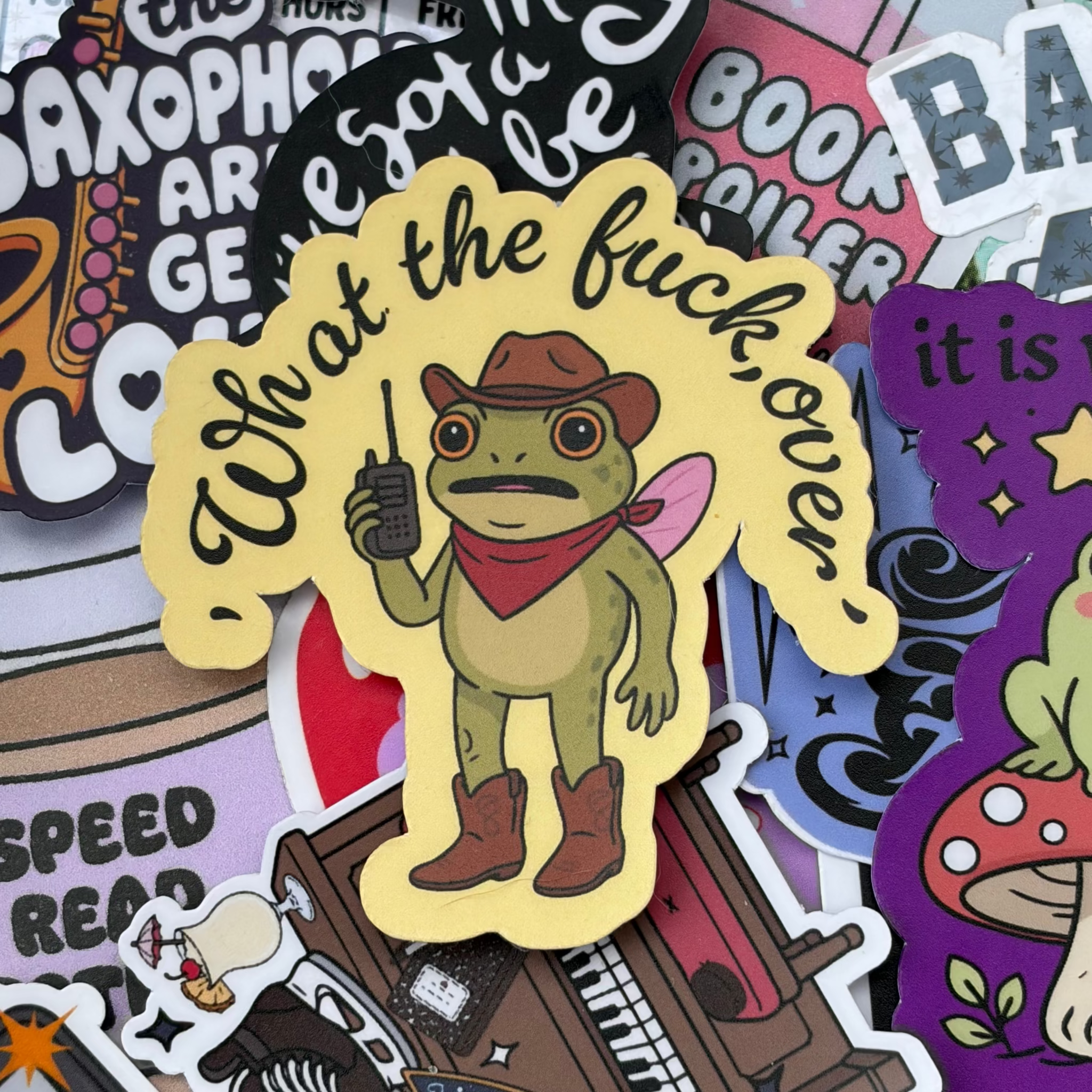 WHAT THE FUCK FROG SINGLE STICKER RADIO COWBOY HAT BOOTS BANDANA RED BROWN YELLOW WINGS